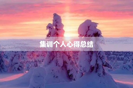 集训个人心得总结