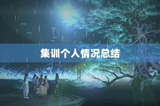 集训个人情况总结 集训个人情况总结