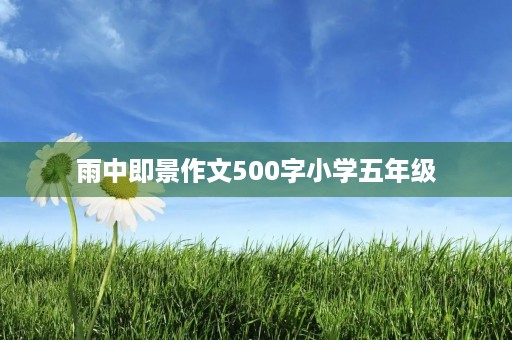 雨中即景作文500字小学五年级 雨中即景作文500字小学五年级