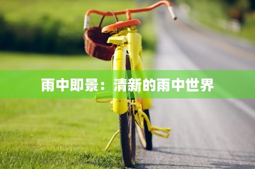 雨中即景：清新的雨中世界