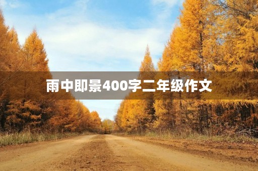 雨中即景400字二年级作文 雨中即景400字二年级作文