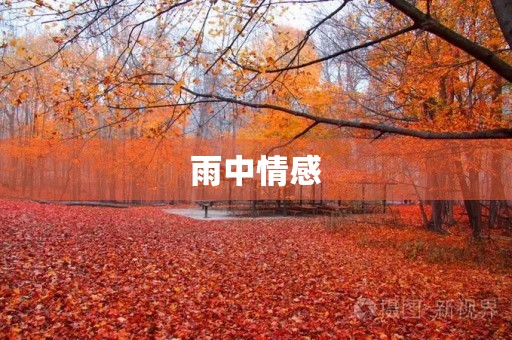 雨中情感