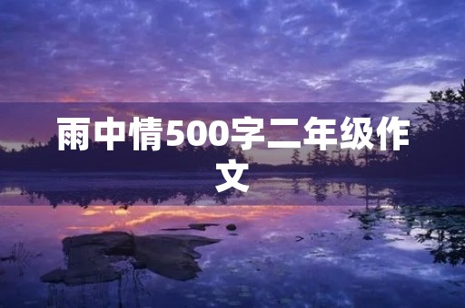 雨中情500字二年级作文