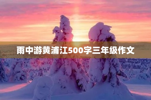 雨中游黄浦江500字三年级作文