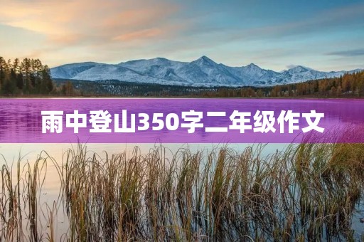 雨中登山350字二年级作文