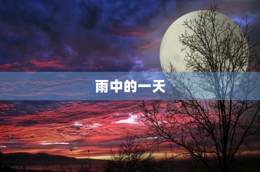 雨中的一天