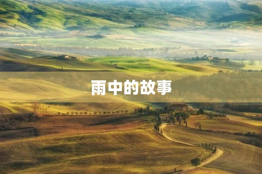 雨中的故事
