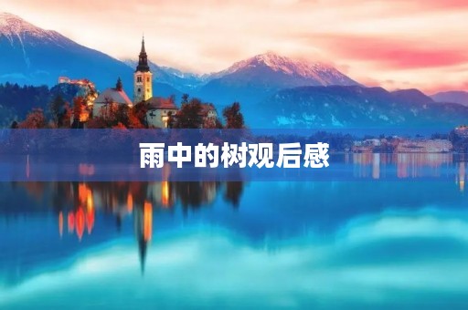 雨中的树观后感 雨中的树观后感