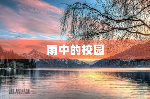 雨中的校园 雨中的校园