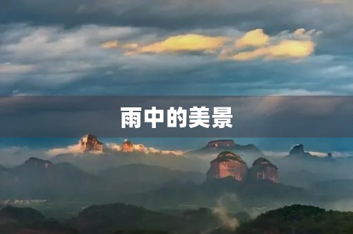 雨中的美景 雨中的美景