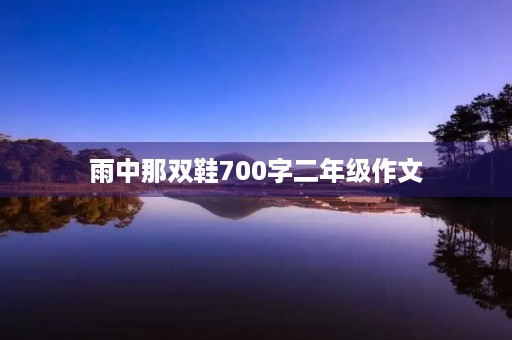 雨中那双鞋700字二年级作文