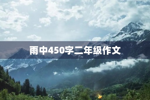 雨中450字二年级作文