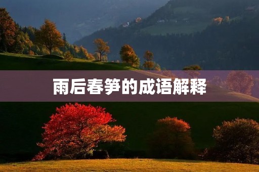 雨后春笋的成语解释