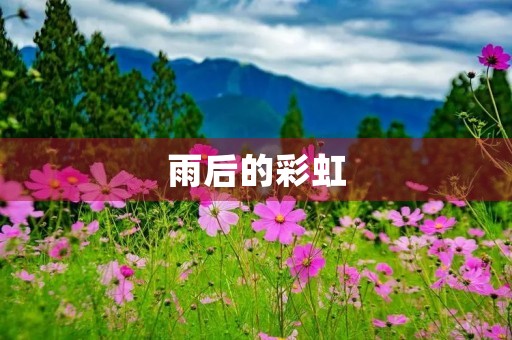 雨后的彩虹，美丽的自然奇观