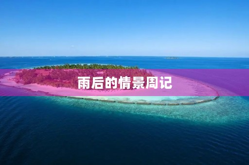 雨后的情景周记 雨后的情景周记