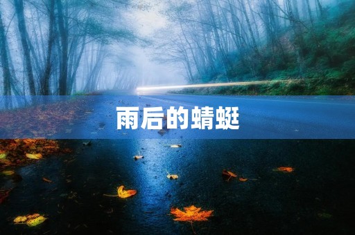 雨后的蜻蜓 雨后的蜻蜓