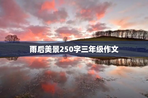 雨后美景250字三年级作文 雨后美景250字三年级作文
