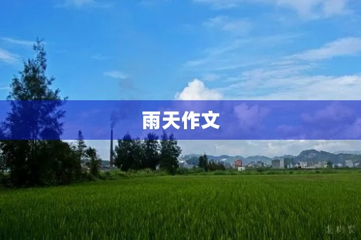 雨天作文 雨天作文