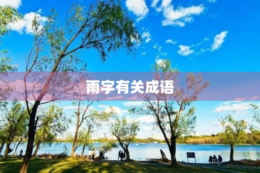 雨字有关成语