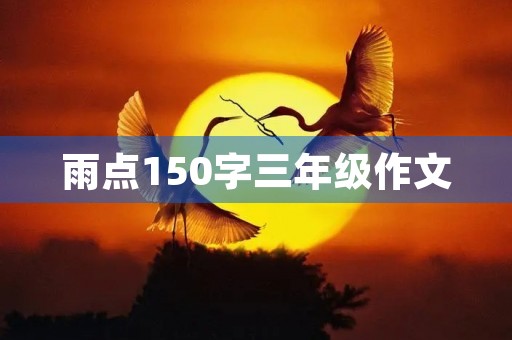 雨点150字三年级作文