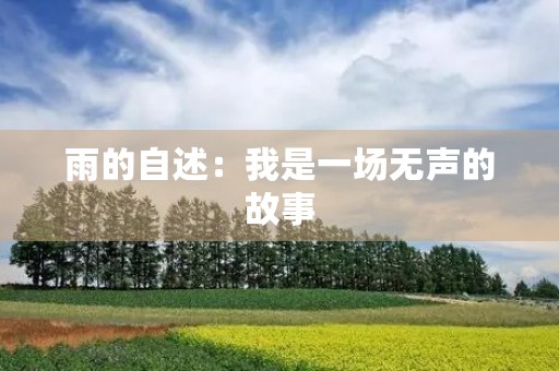 雨的自述：我是一场无声的故事