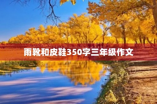 雨靴和皮鞋350字三年级作文