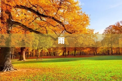 雨，让心灵沉淀