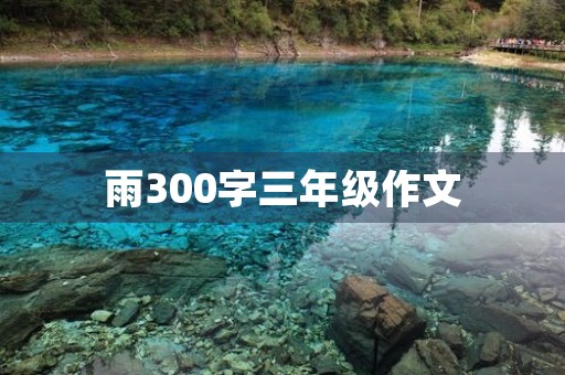 雨300字三年级作文