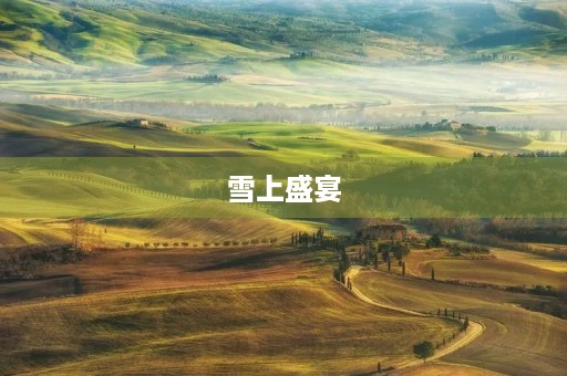 雪上盛宴，2022冬奥会观后感