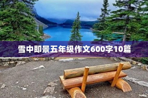 雪中即景五年级作文600字10篇