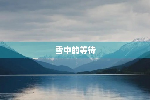 雪中的等待 雪中的等待