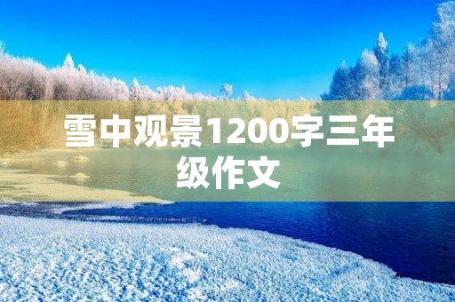 雪中观景1200字三年级作文 雪中观景1200字三年级作文