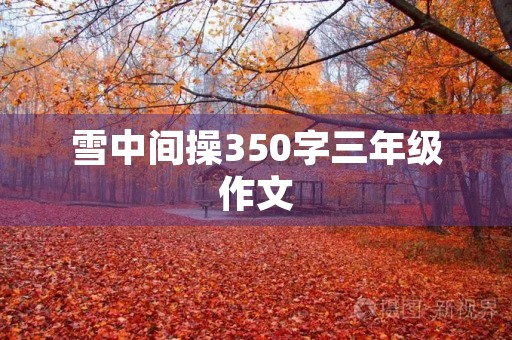 雪中间操350字三年级作文 雪中间操350字三年级作文