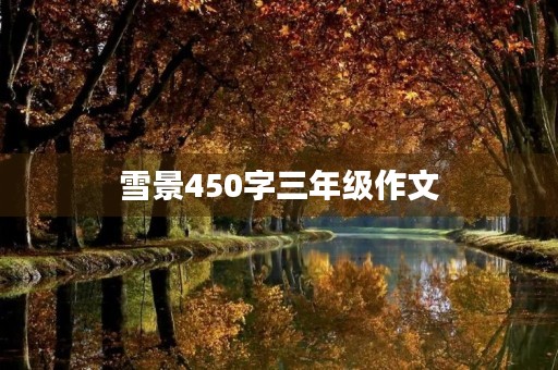 雪景450字三年级作文 雪景450字三年级作文