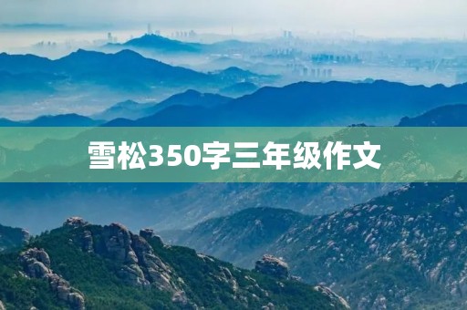 雪松350字三年级作文