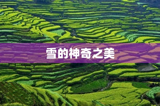 雪的神奇之美