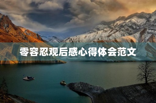 零容忍观后感心得体会范文