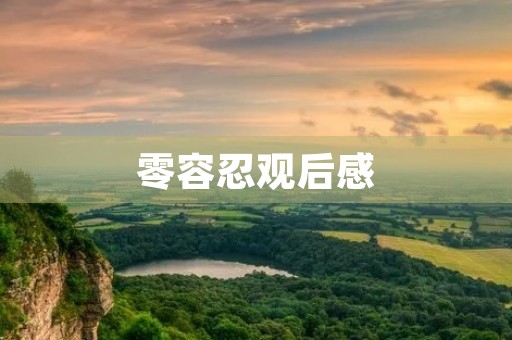 零容忍观后感