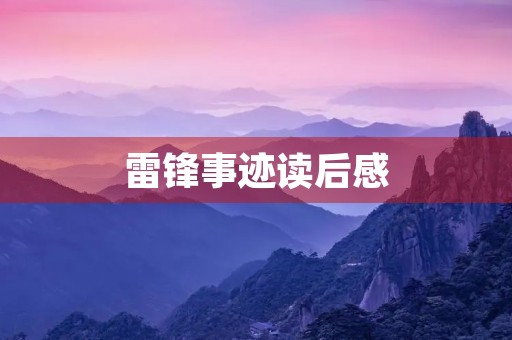 雷锋事迹读后感