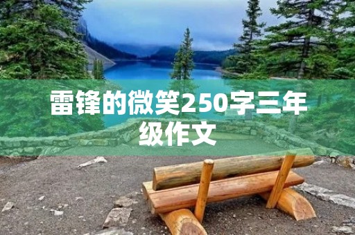 雷锋的微笑250字三年级作文