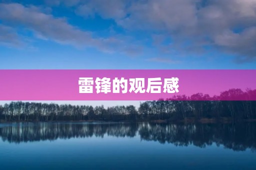 雷锋的观后感
