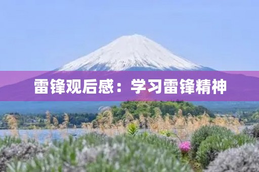 雷锋观后感：学习雷锋精神，传承红色基因