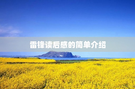 雷锋读后感的简单介绍
