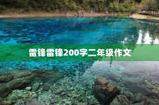 雷锋雷锋200字二年级作文