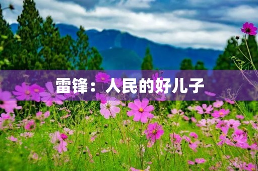 雷锋：人民的好儿子