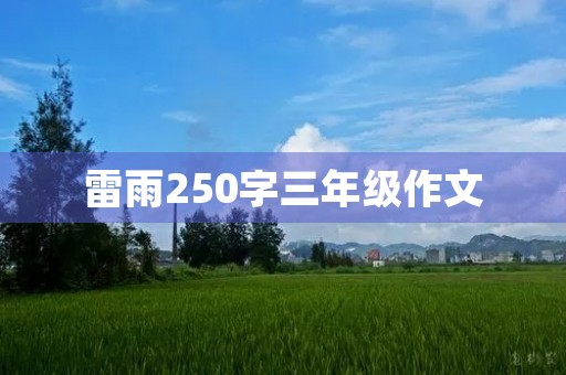 雷雨250字三年级作文