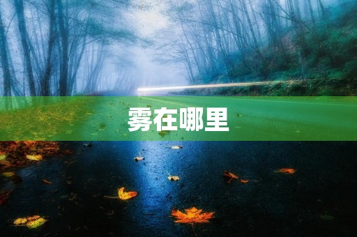 雾在哪里 雾在哪里