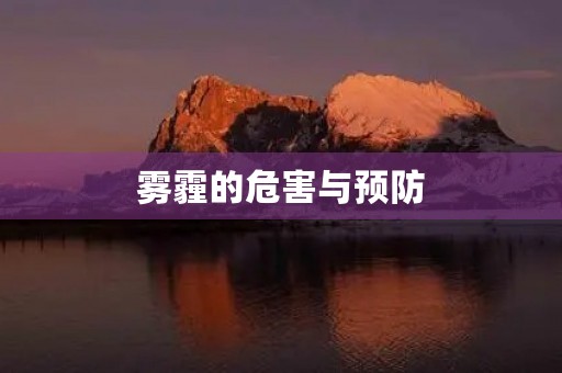 雾霾的危害与预防