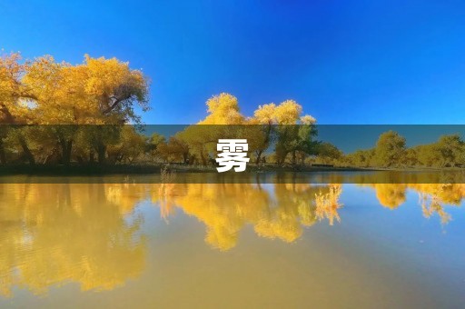 雾，迷蒙的世界