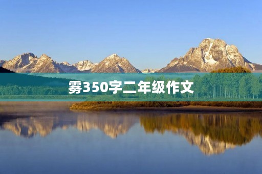 雾350字二年级作文